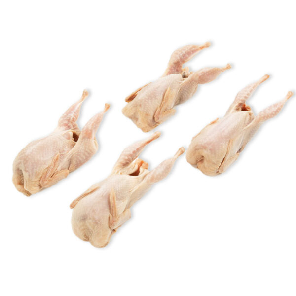 Quail 4 Pack FRZ