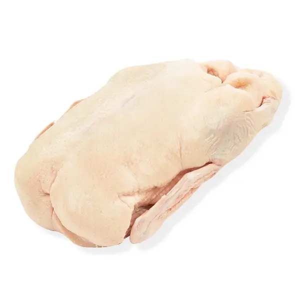Duck Whole Bone-In FRZ